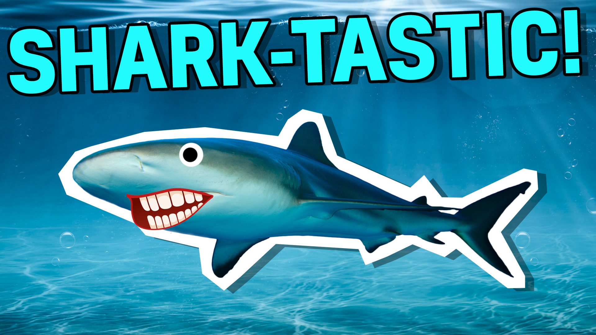 Shark-tastic!