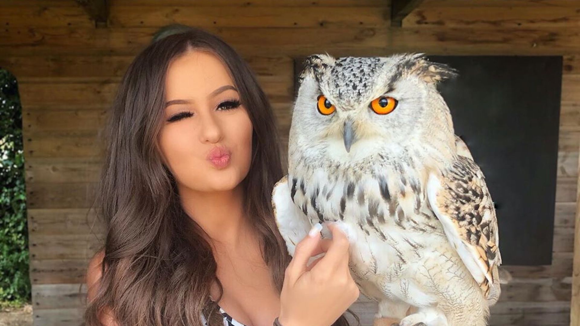 Holly and an owl