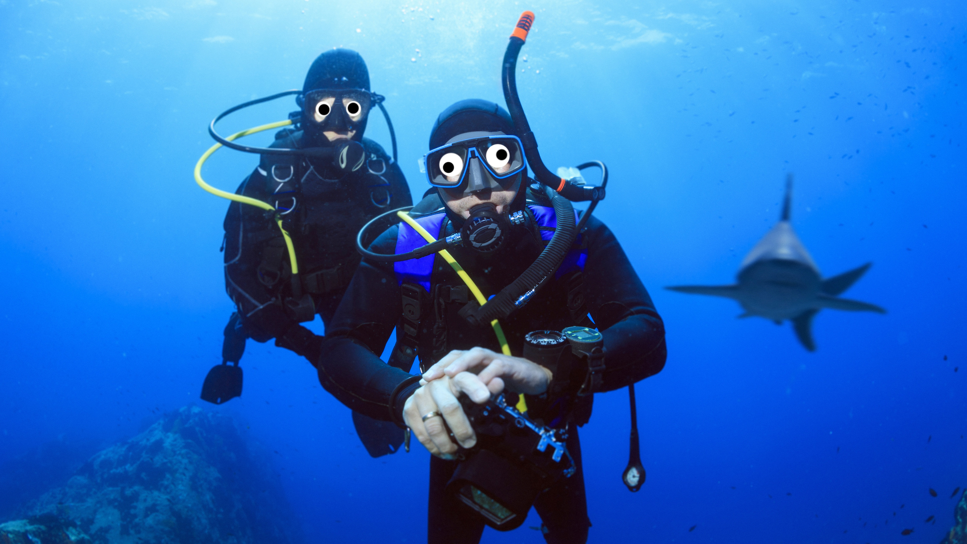 Two scuba divers with a shark in the background 