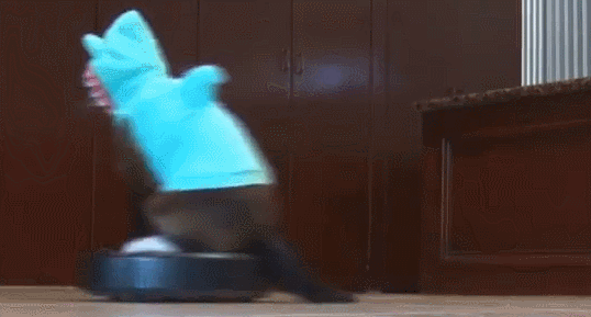 A cat on a robot vacuum cleaner