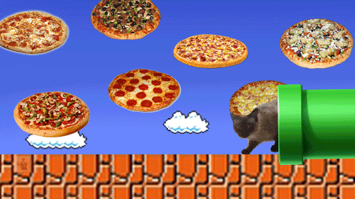 A cat jumping for pizza in a Super Mario game