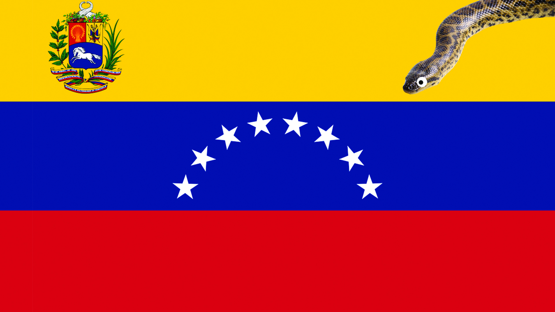 A snake slithering on a Venezuelan flag