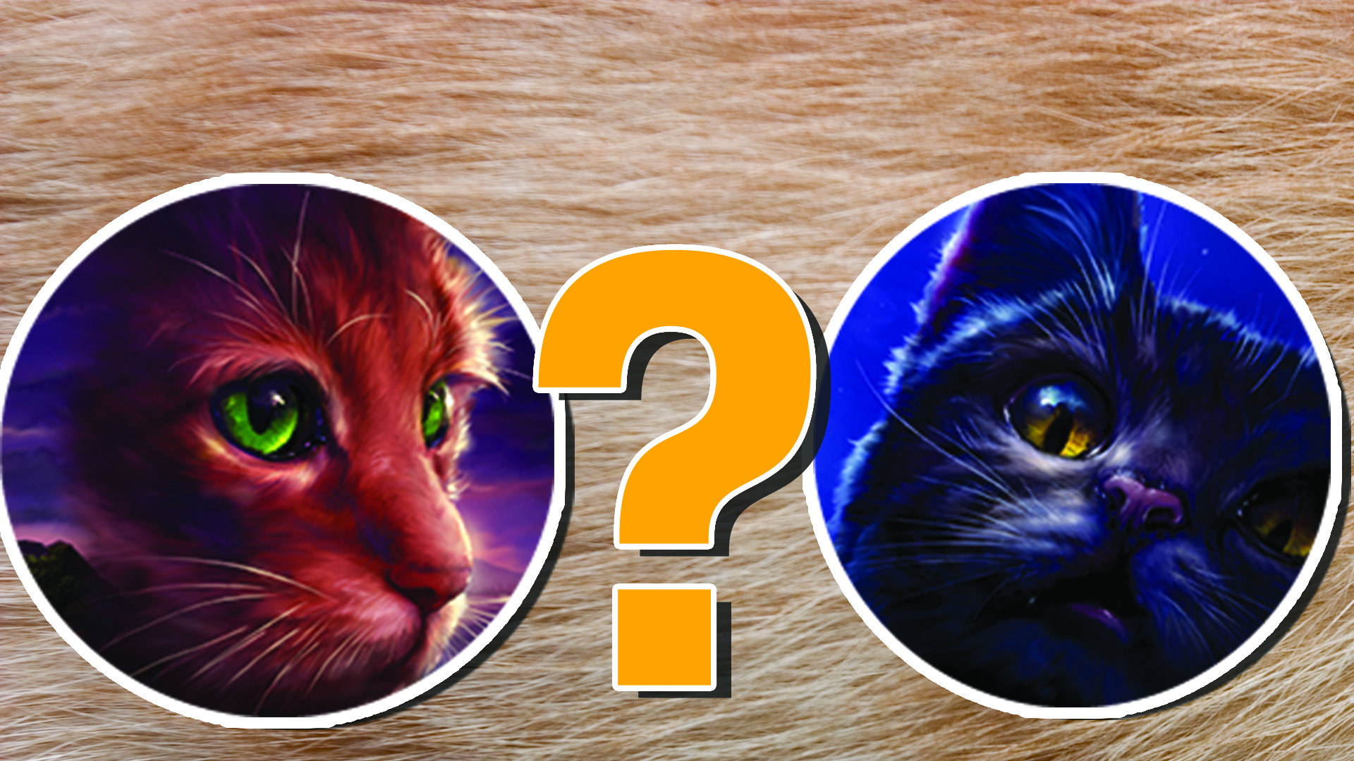 Warrior Cats Quiz: Which 1 of 10 Cats Is Same as You?