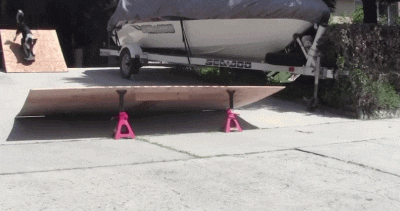 A dog going off a skateboard ramp