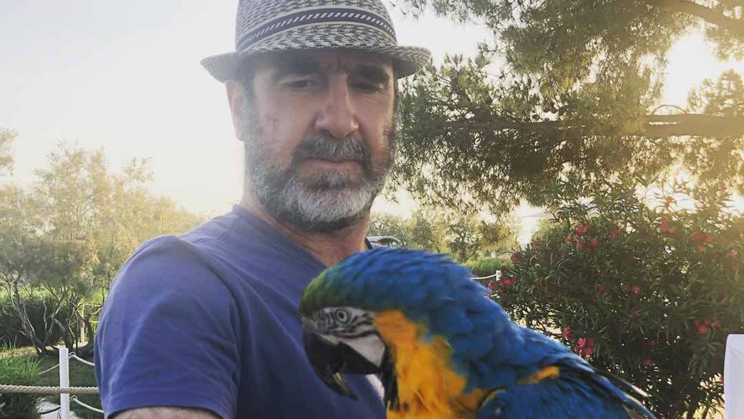 Eric Cantona and a parrot