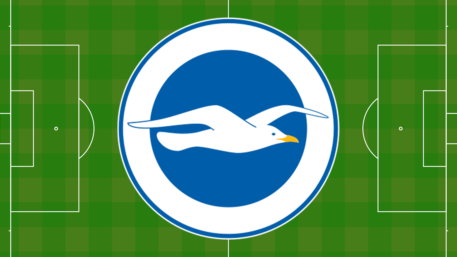 Football badge featuring a seagull