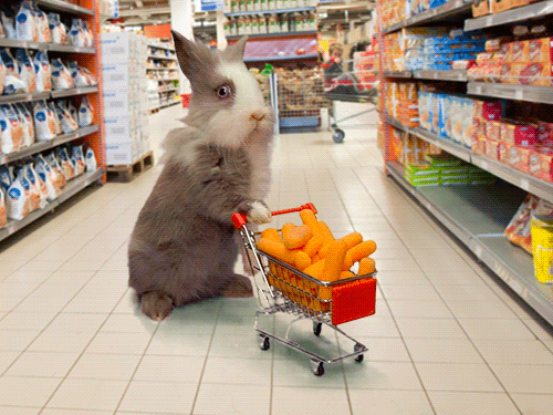 A rabbit with a trolley full of tiny carrots