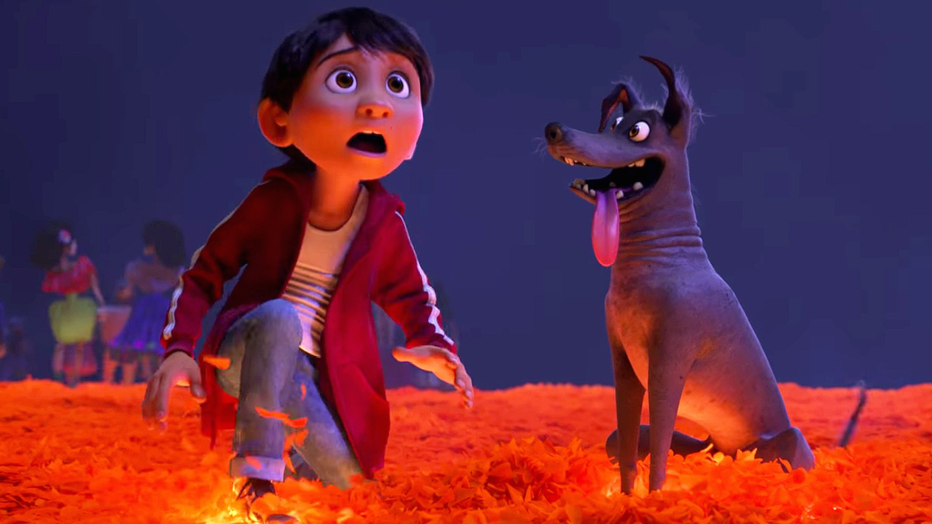 Coco – Miguel and his dog