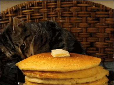 A cat taking a pancake without permission