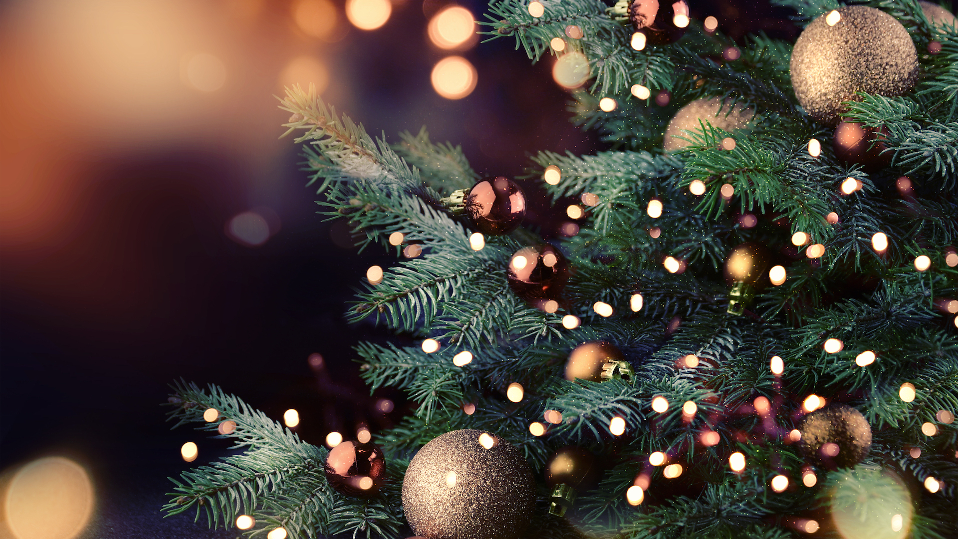 A twinkling Christmas tree