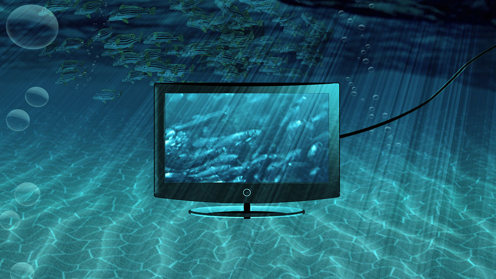 Flatscreen TV in the sea. Not recommended! 