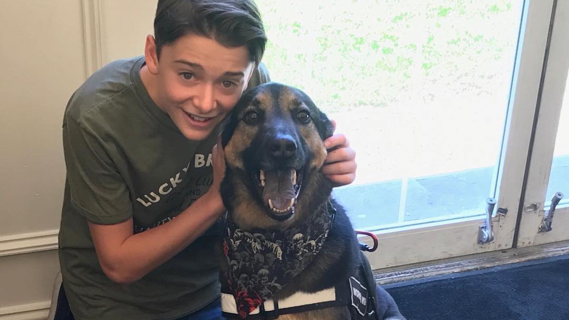 Noah Schnapp and a dog