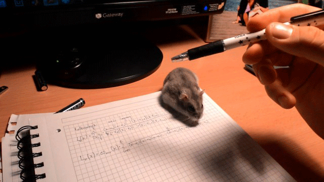 Hamster stealing a pen