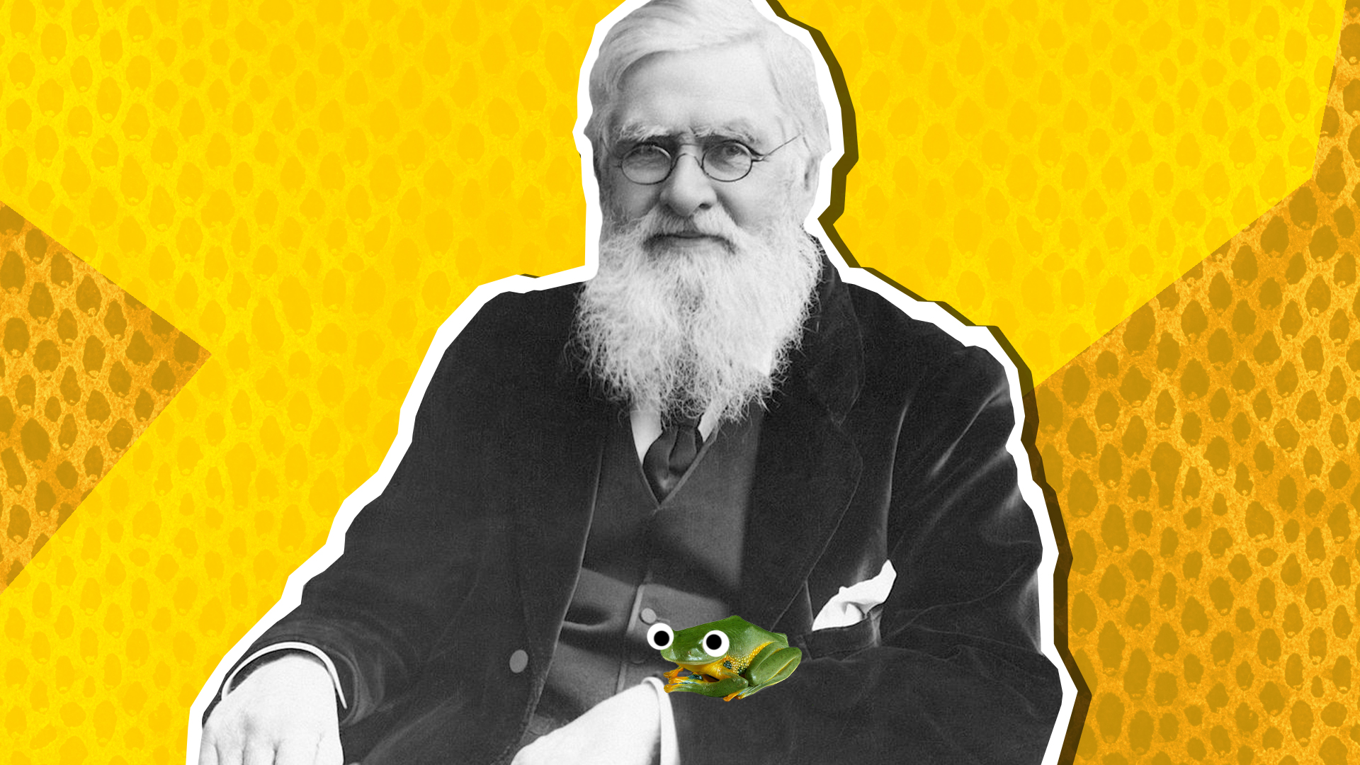 The famous biologist Wallace