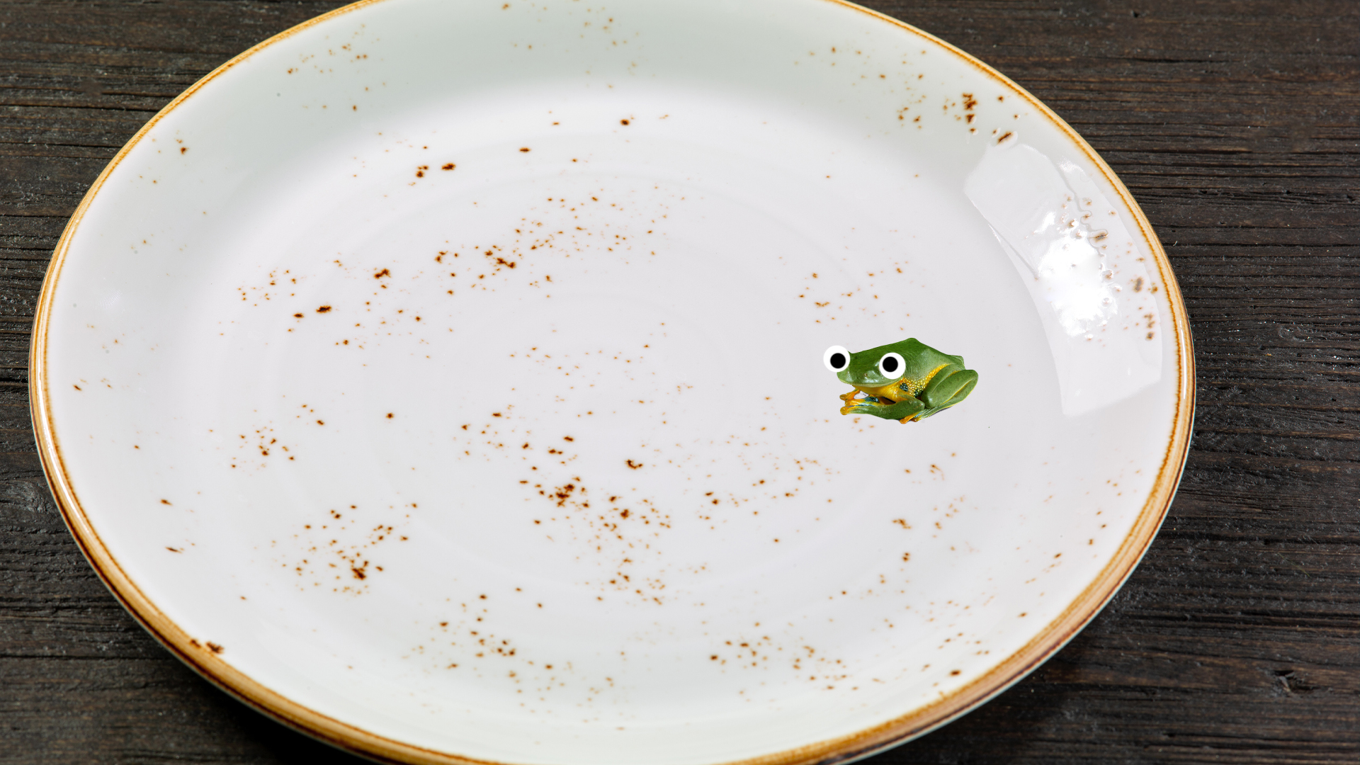 A frog on an empty plate