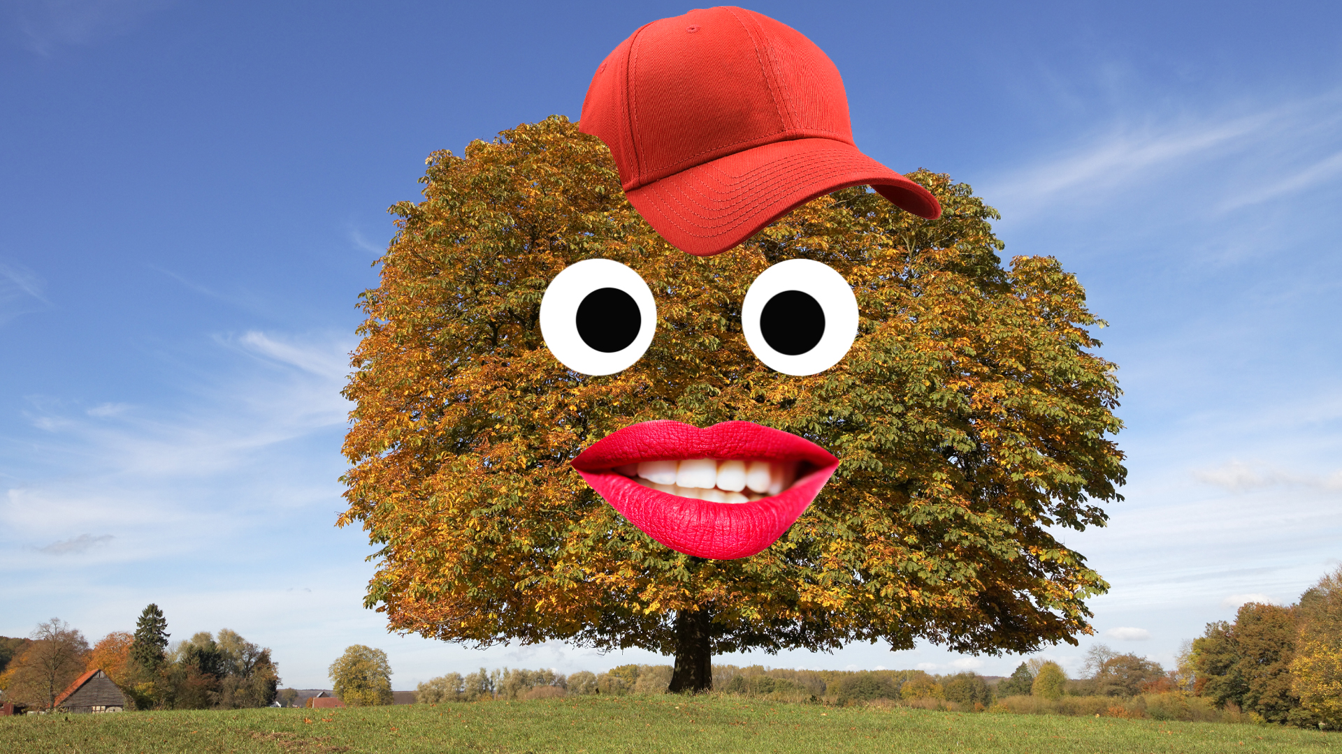 A chestnut tree wearing a cap