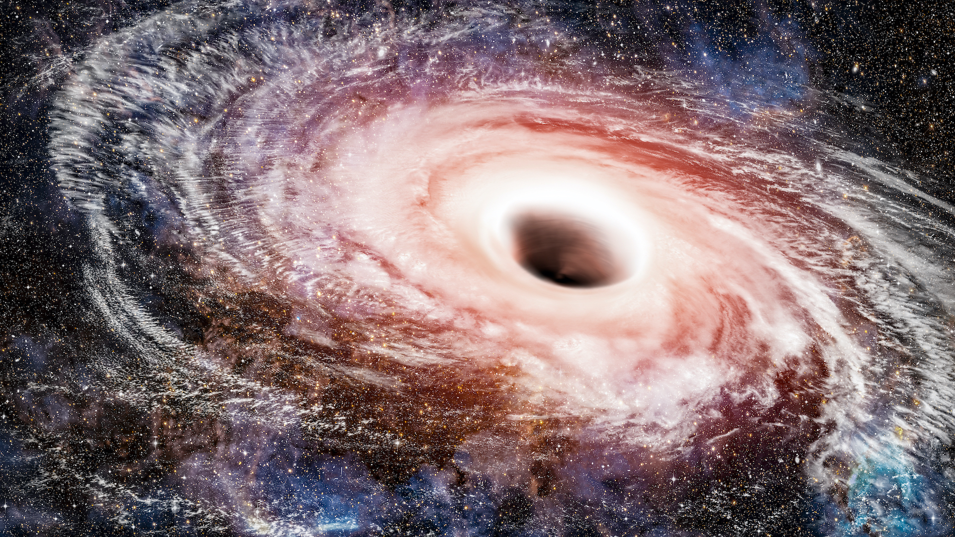 A black hole surrounded by stars