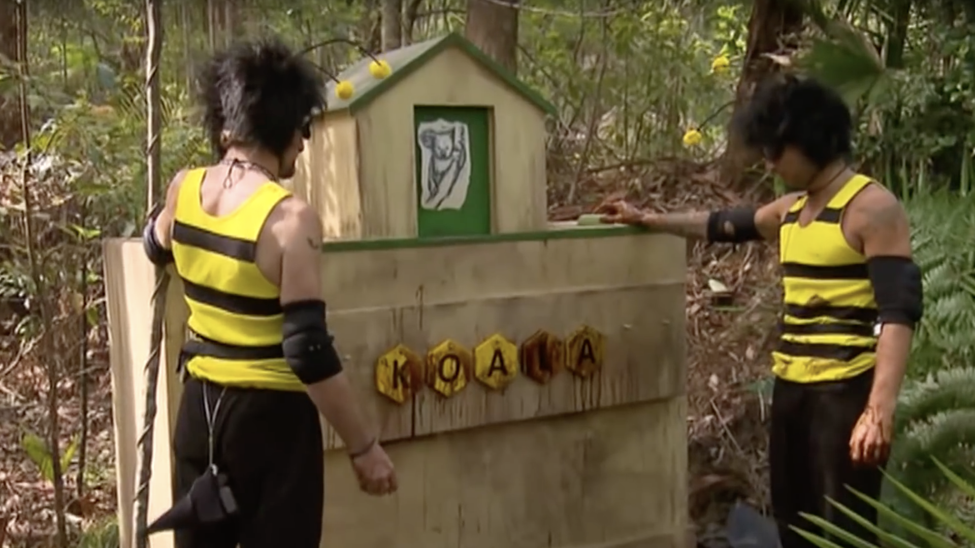 Jake and Foggy dress as bees on I'm A Celebrity... Get Me Out Of Here! 