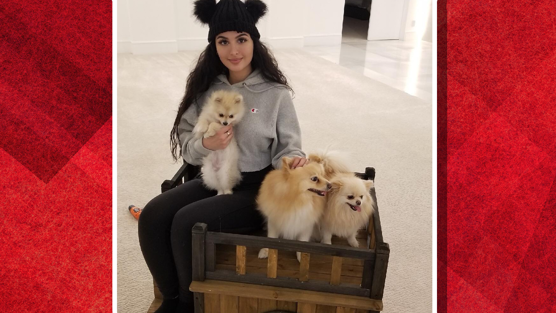 SSSniperwolf and her three dogs