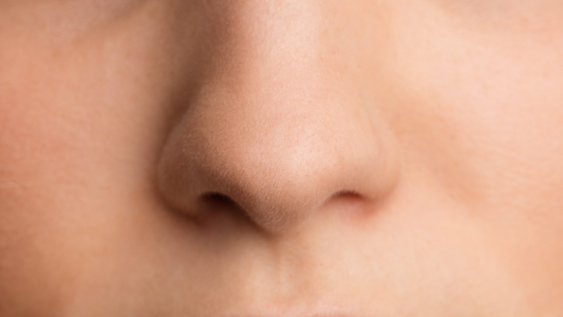 A close-up of a nose