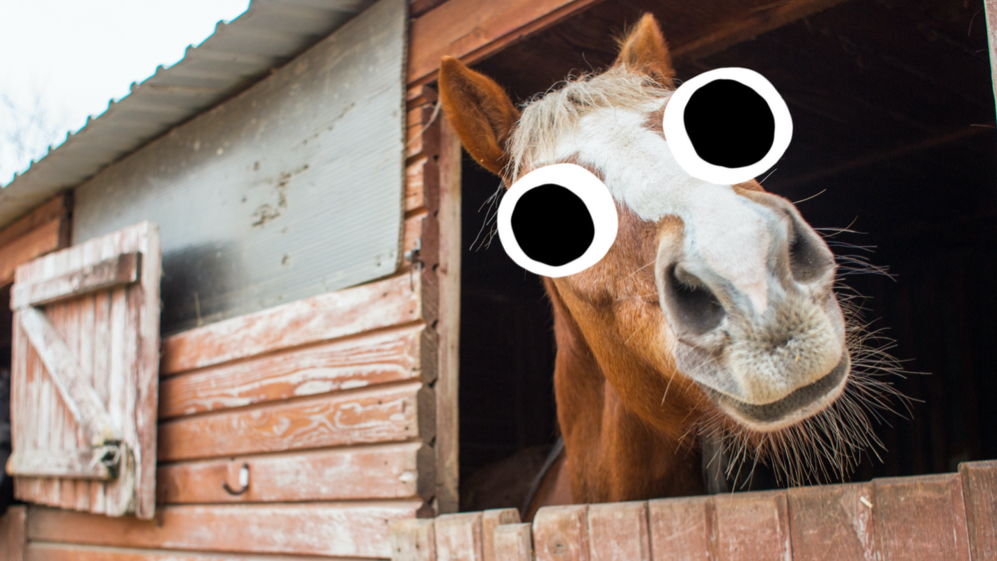 A horse sticks its head out of a stable door