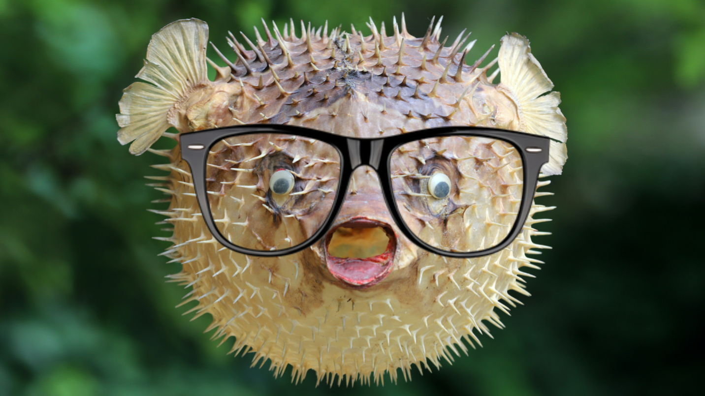 A surprised fish wearing glasses