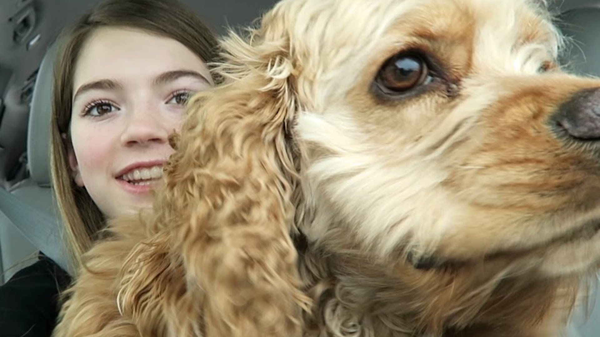 That YouTub3 Family's pet dog