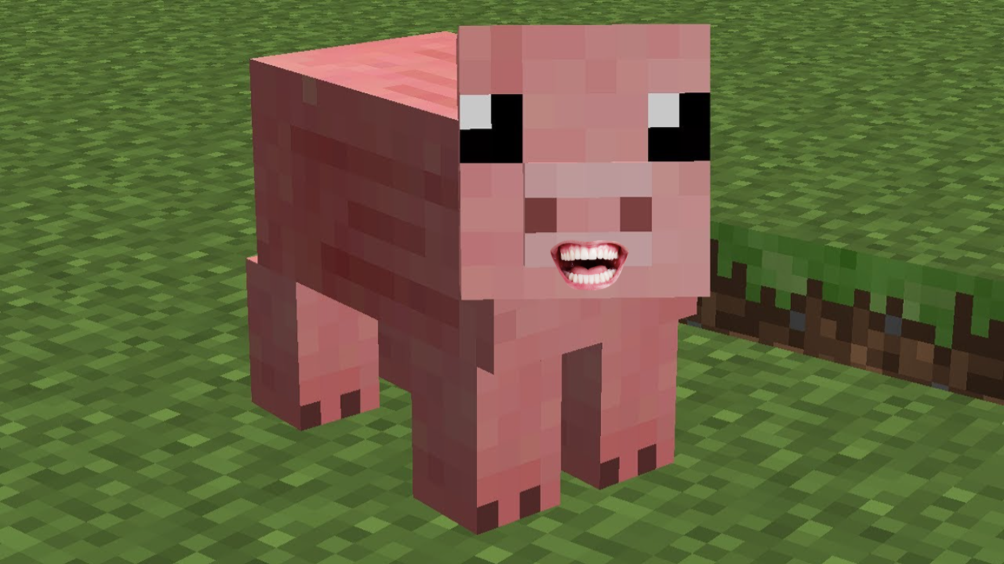 A Minecraft pig