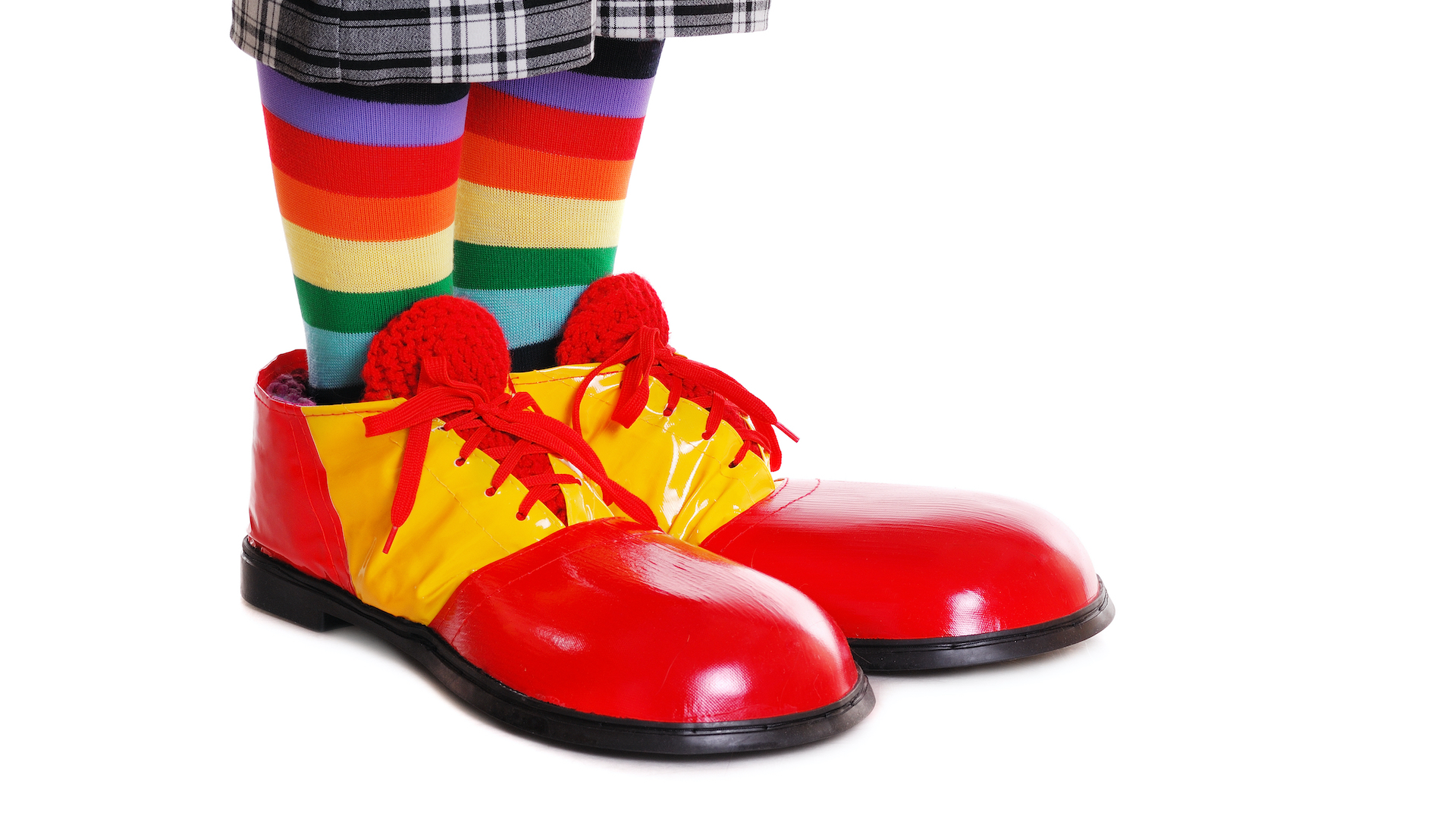 A pair of clown shoes