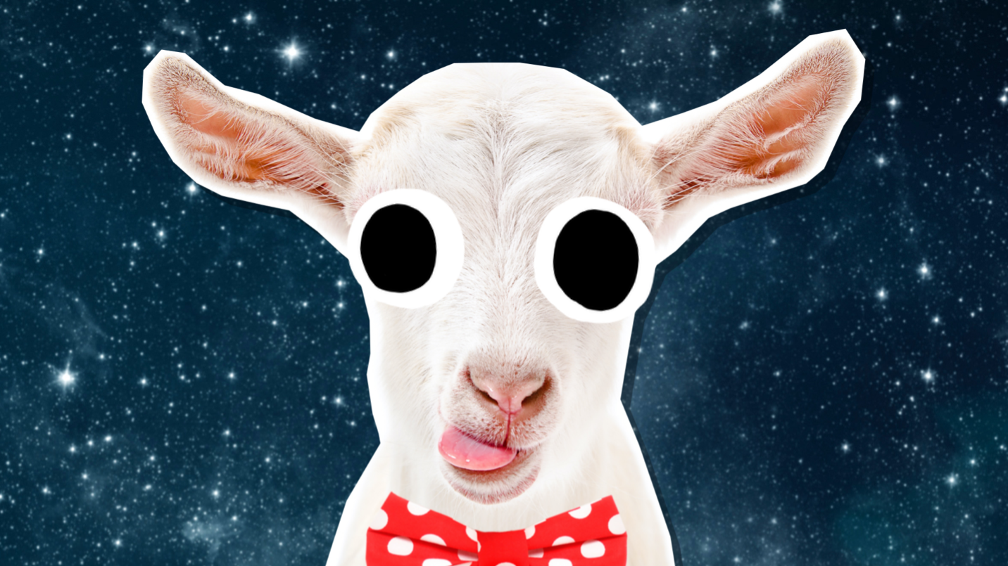 A goat wearing a bowtie