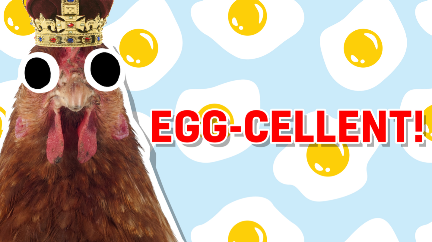 Egg-cellent