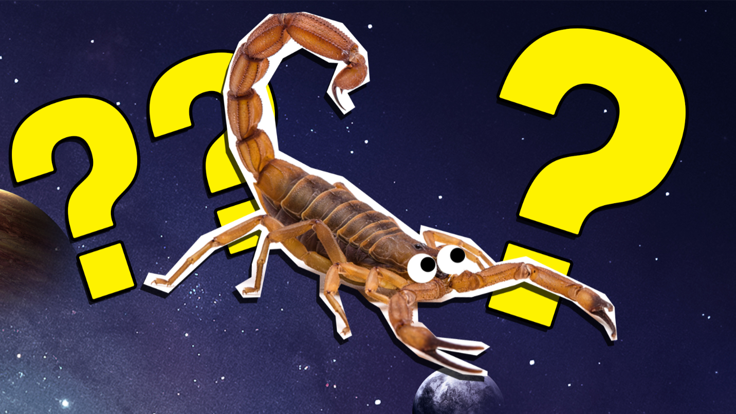 The Ultimate Scorpio Quiz