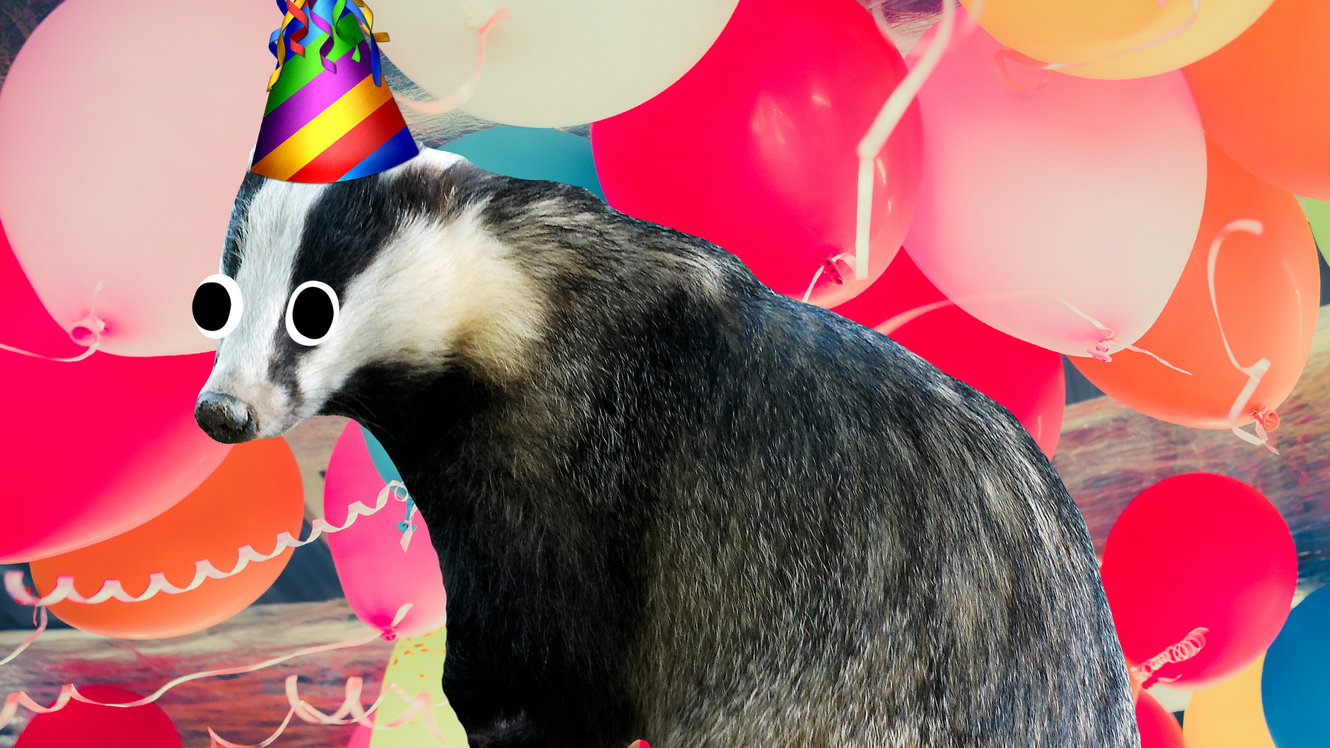 A badger at a Hufflepuff party