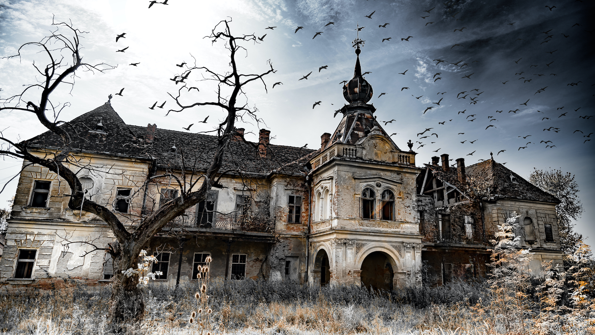 A spooky house