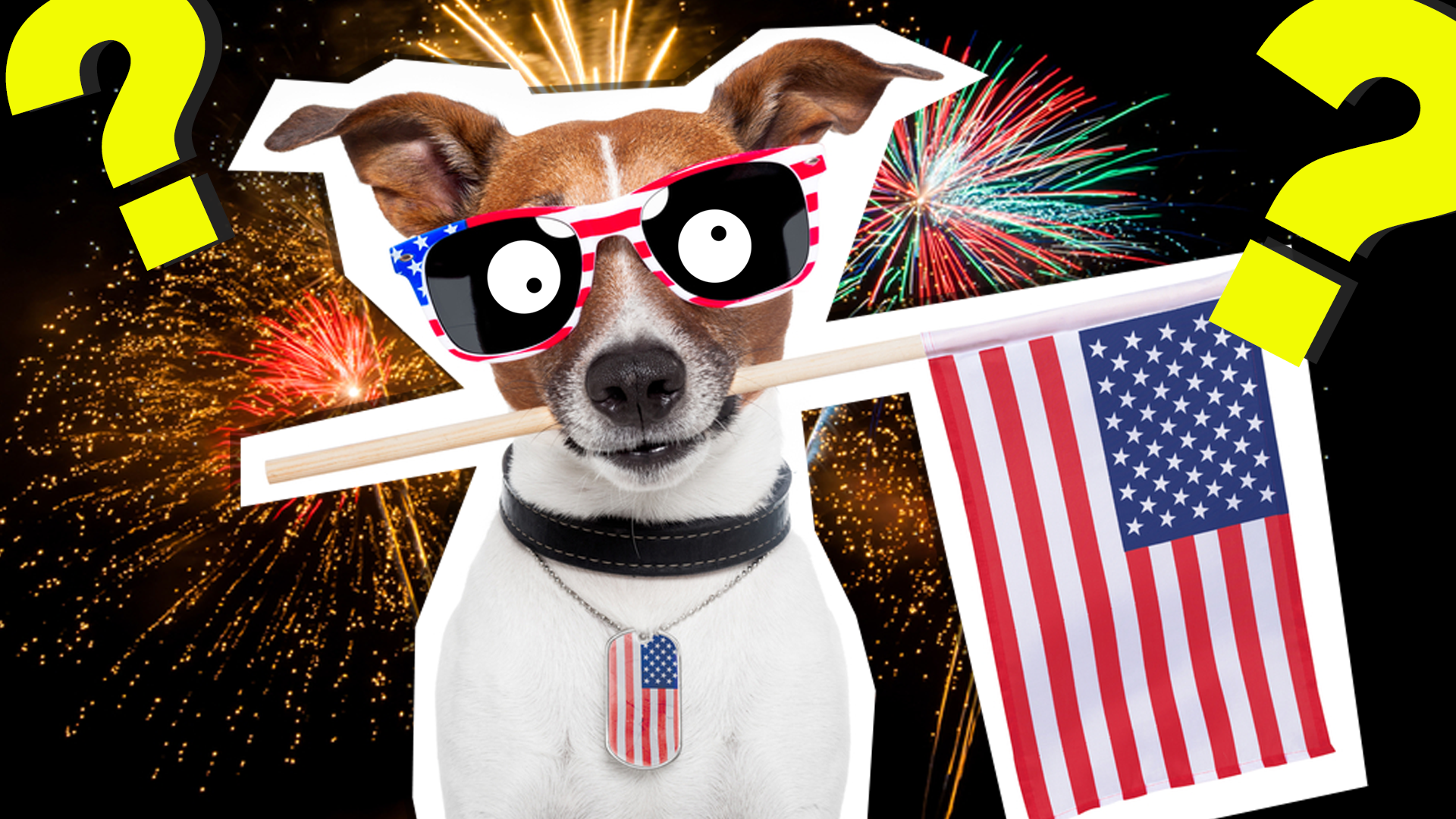 4th of July Dog with American flag