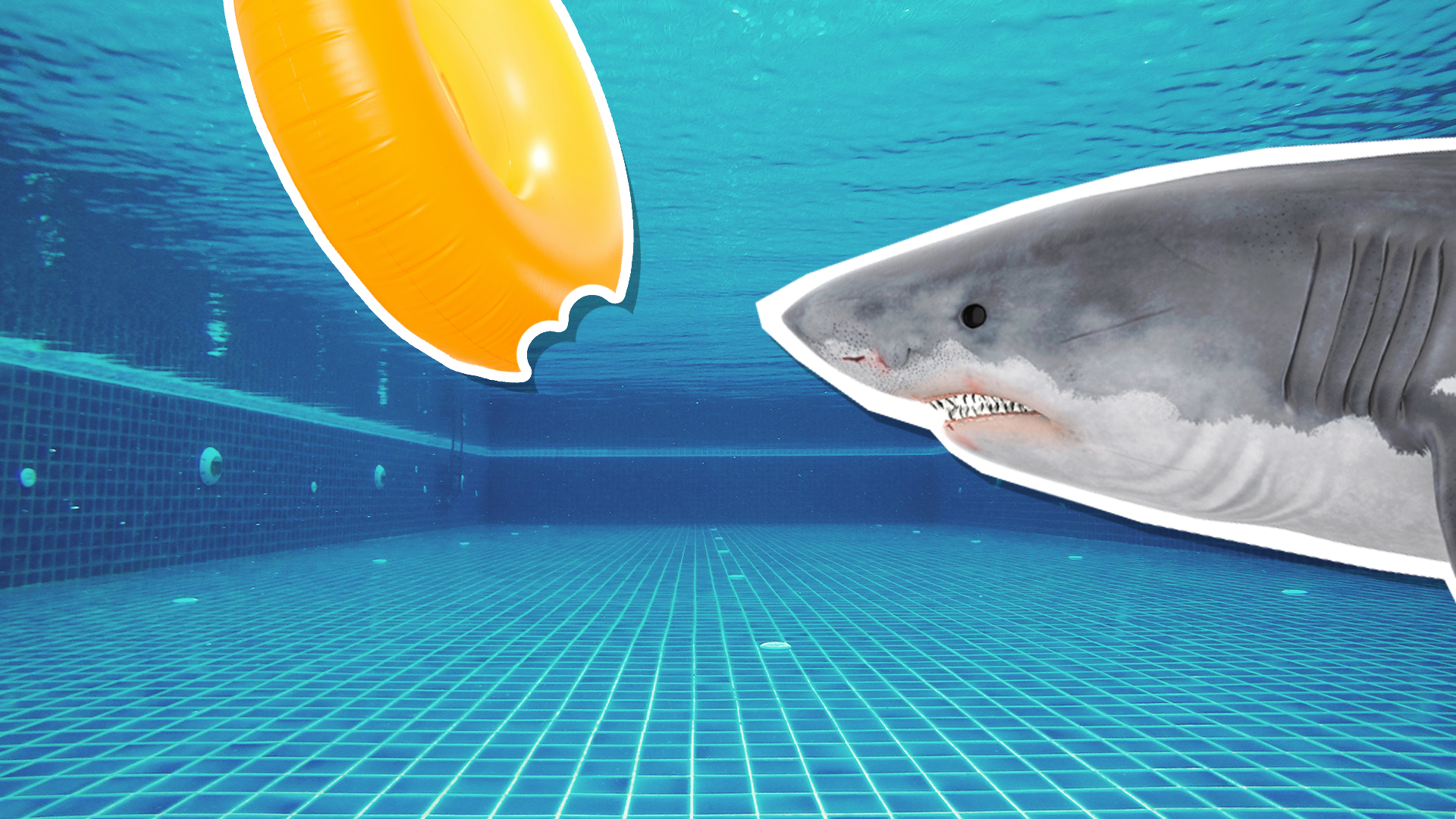 A shark biting a pool float