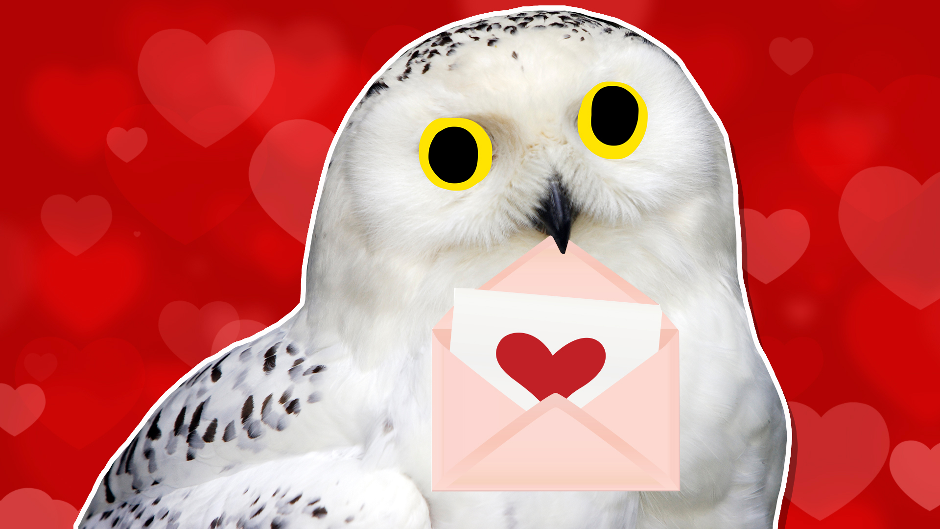 An owl with a Valentine's Day envelope