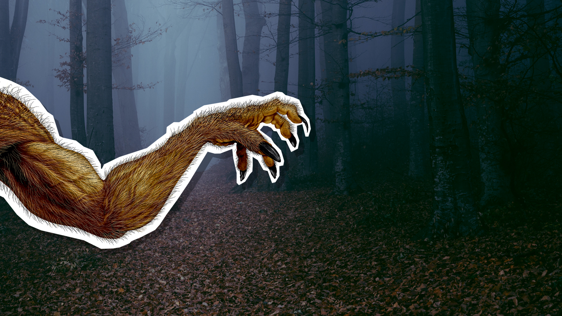 A werewolf arm in a spooky forest