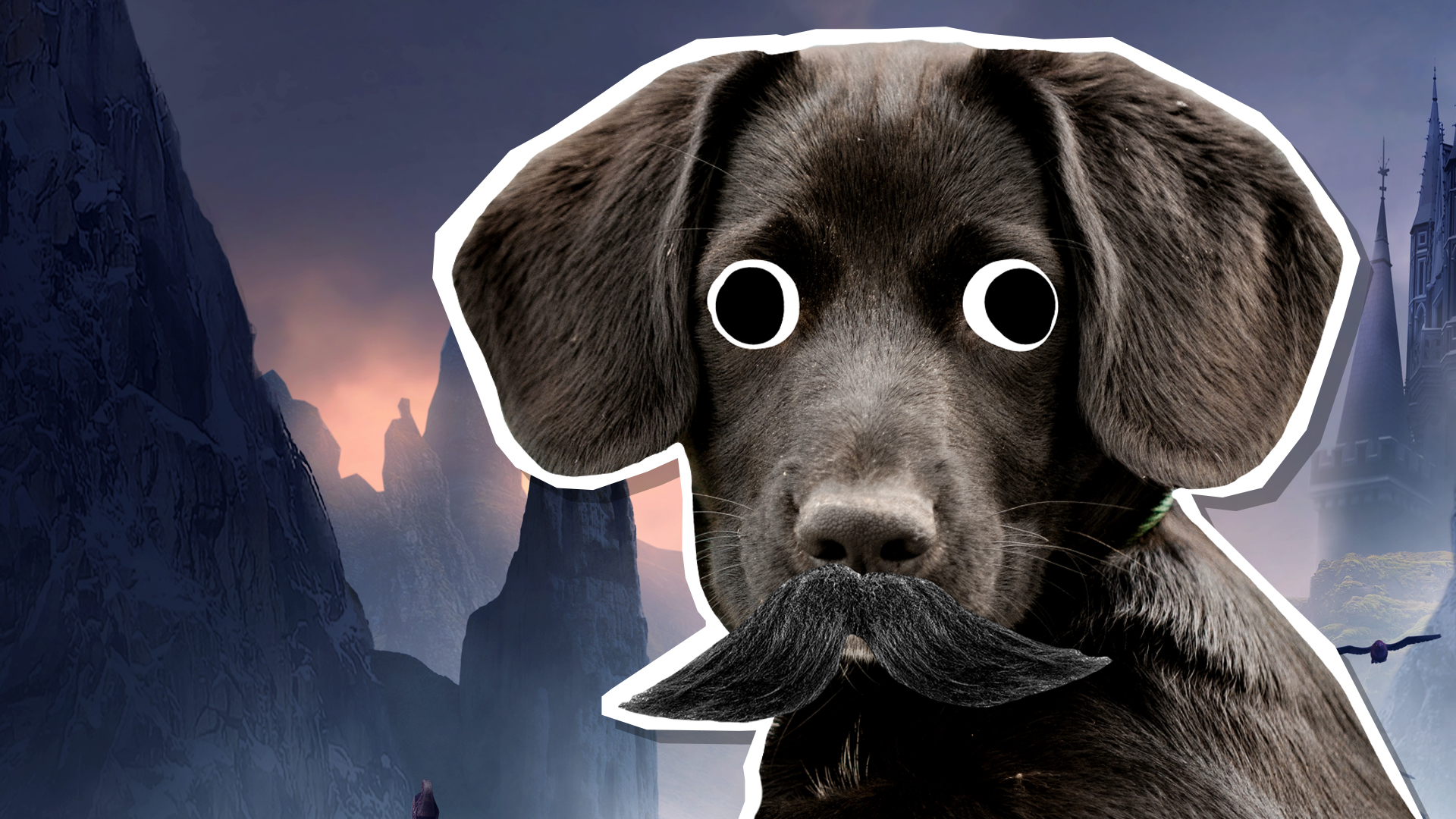 Sirius Black, but as a dog
