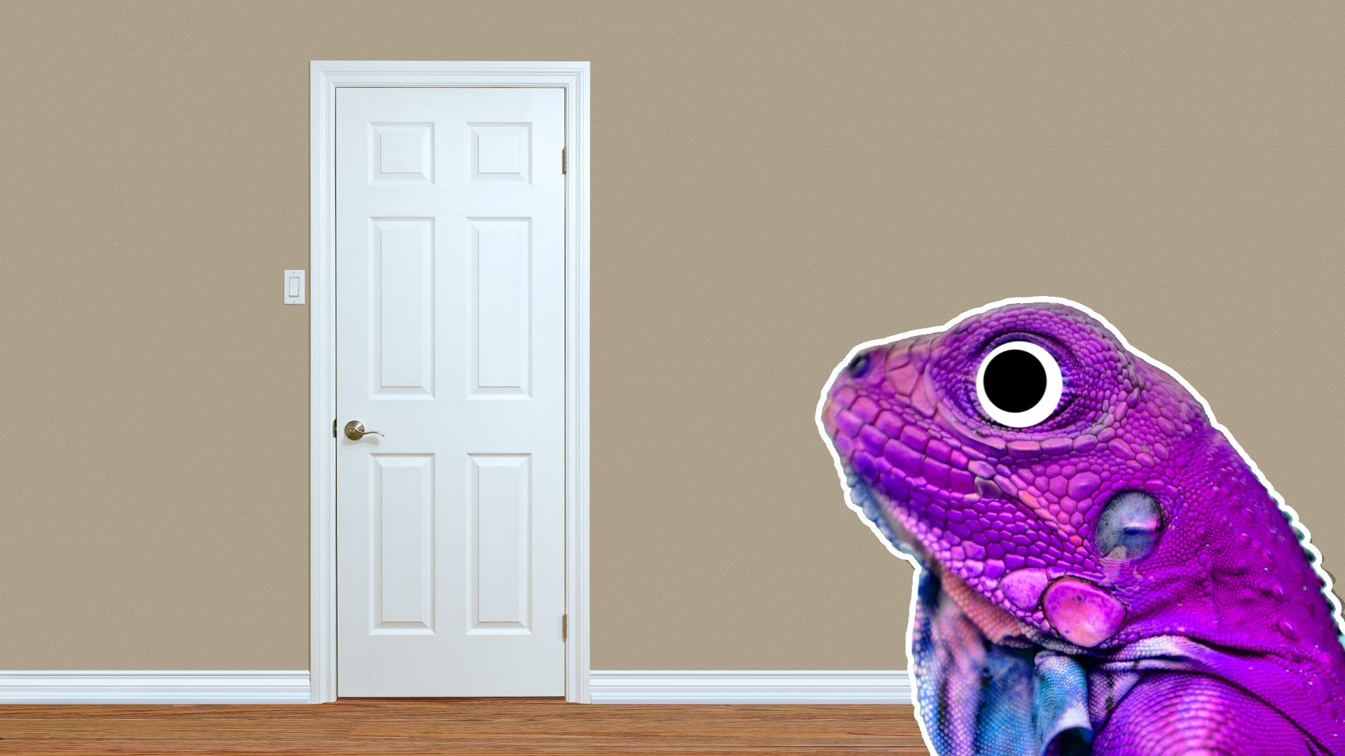 A chameleon next to a bedroom door