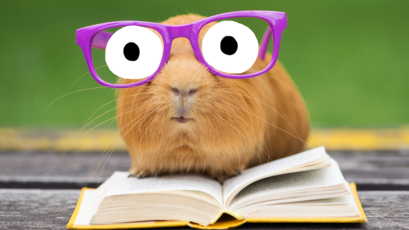 A guinea pig in glasses reading a book outdoors