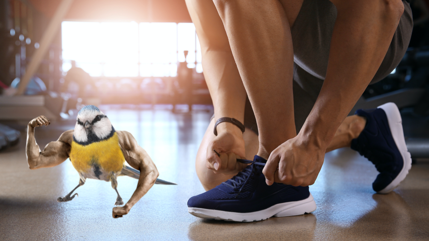 Sporty young man tying shoelaces in gym and a muscular bird
