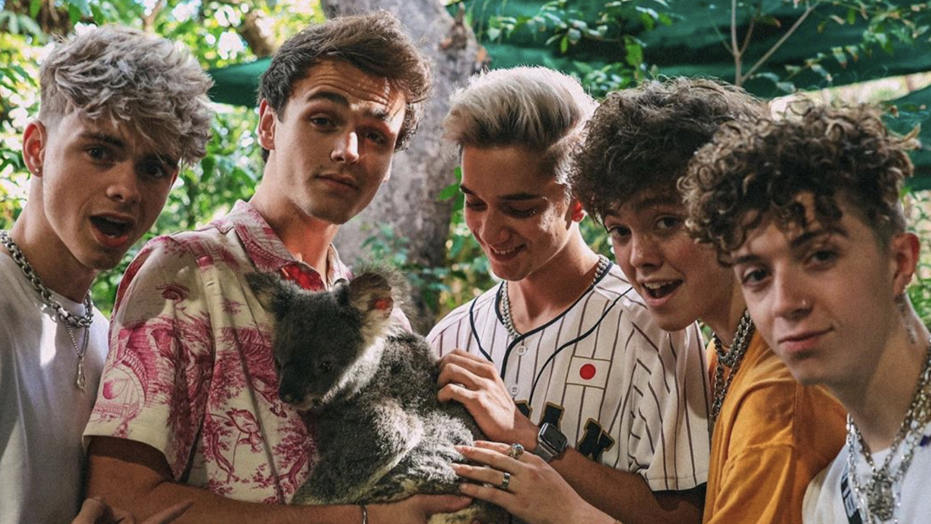 Why Don't We pose with a koala