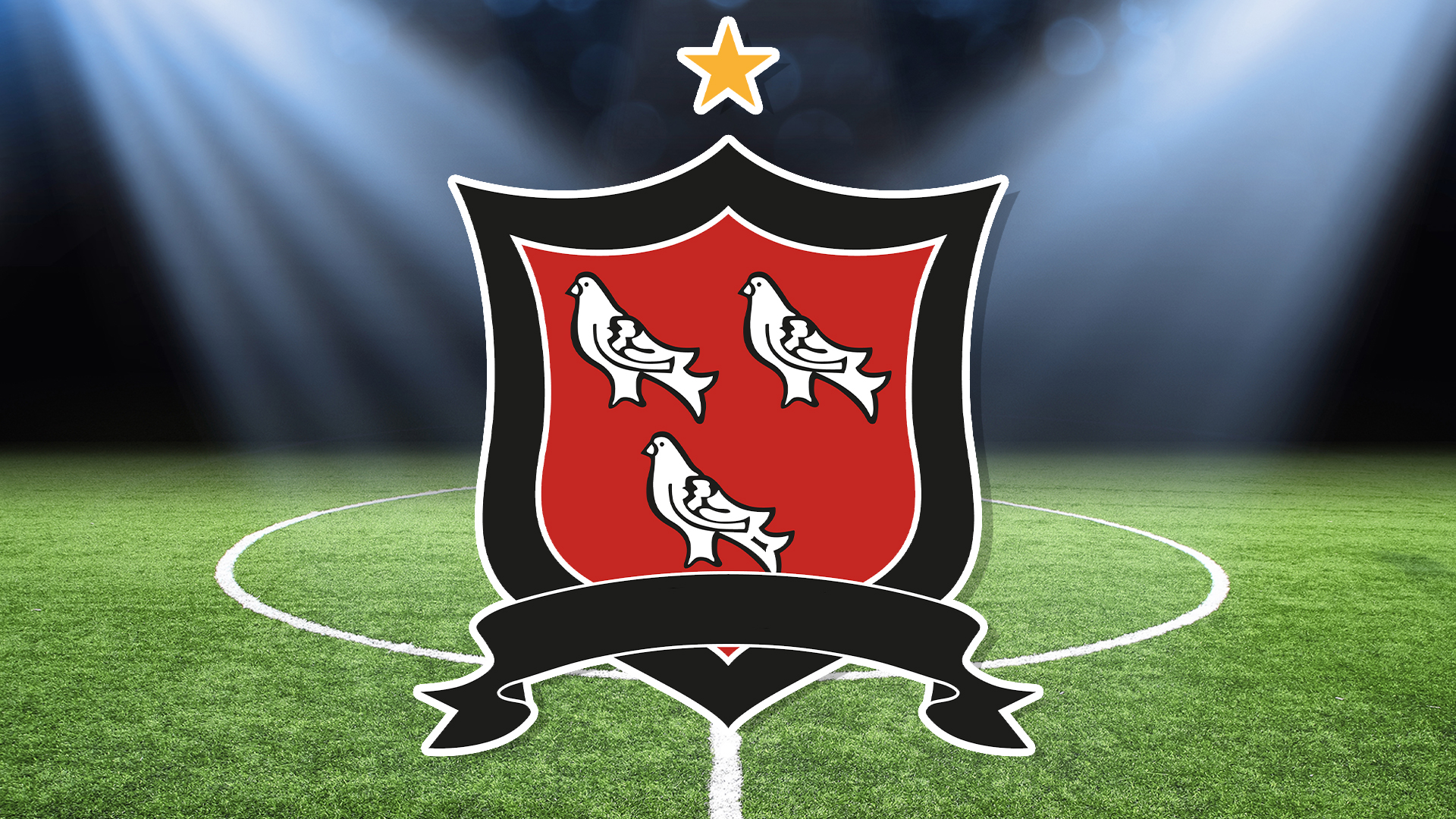 Football logo 10