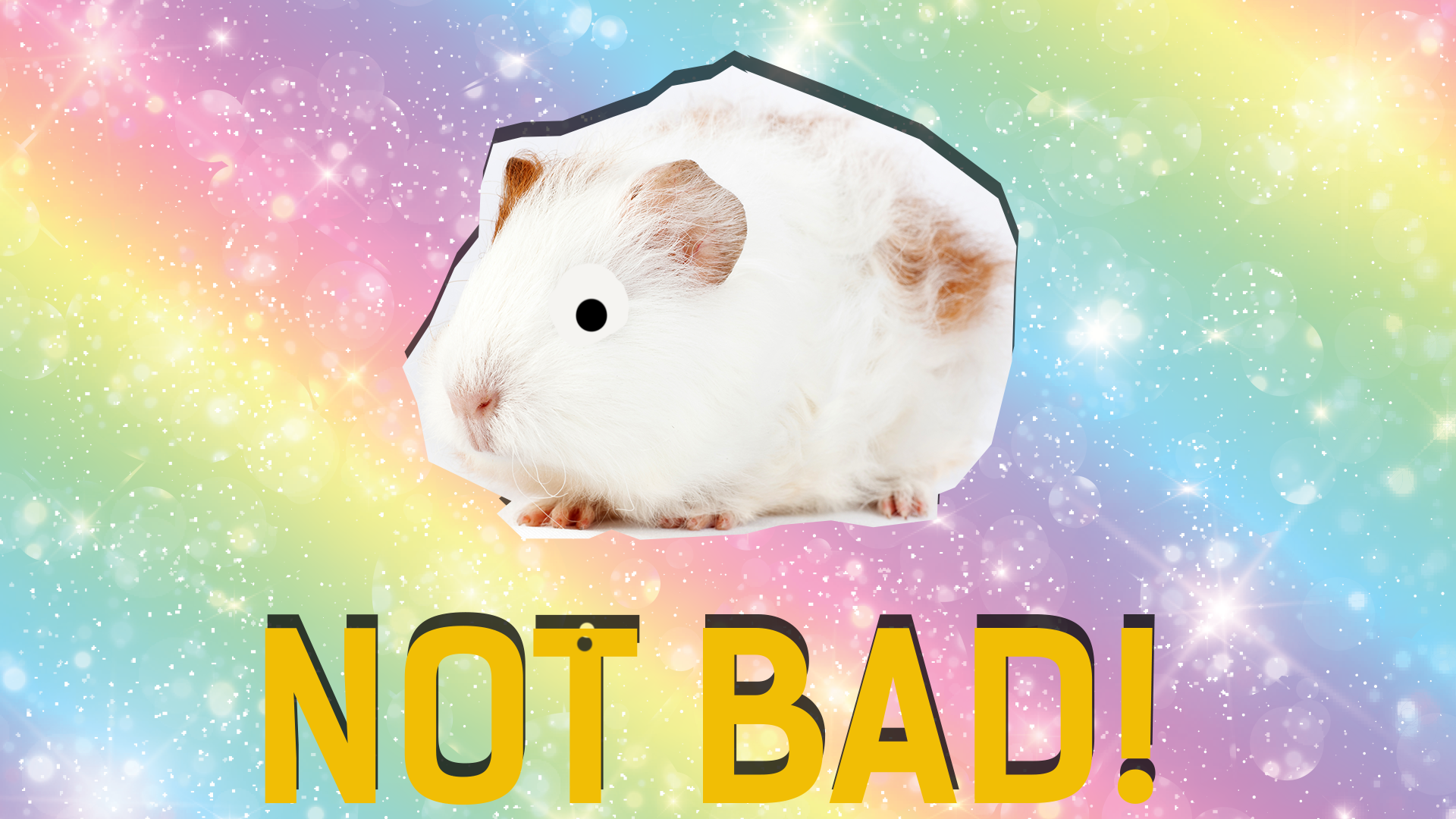 White Guinea Pig and the word awesome on a rainbow background