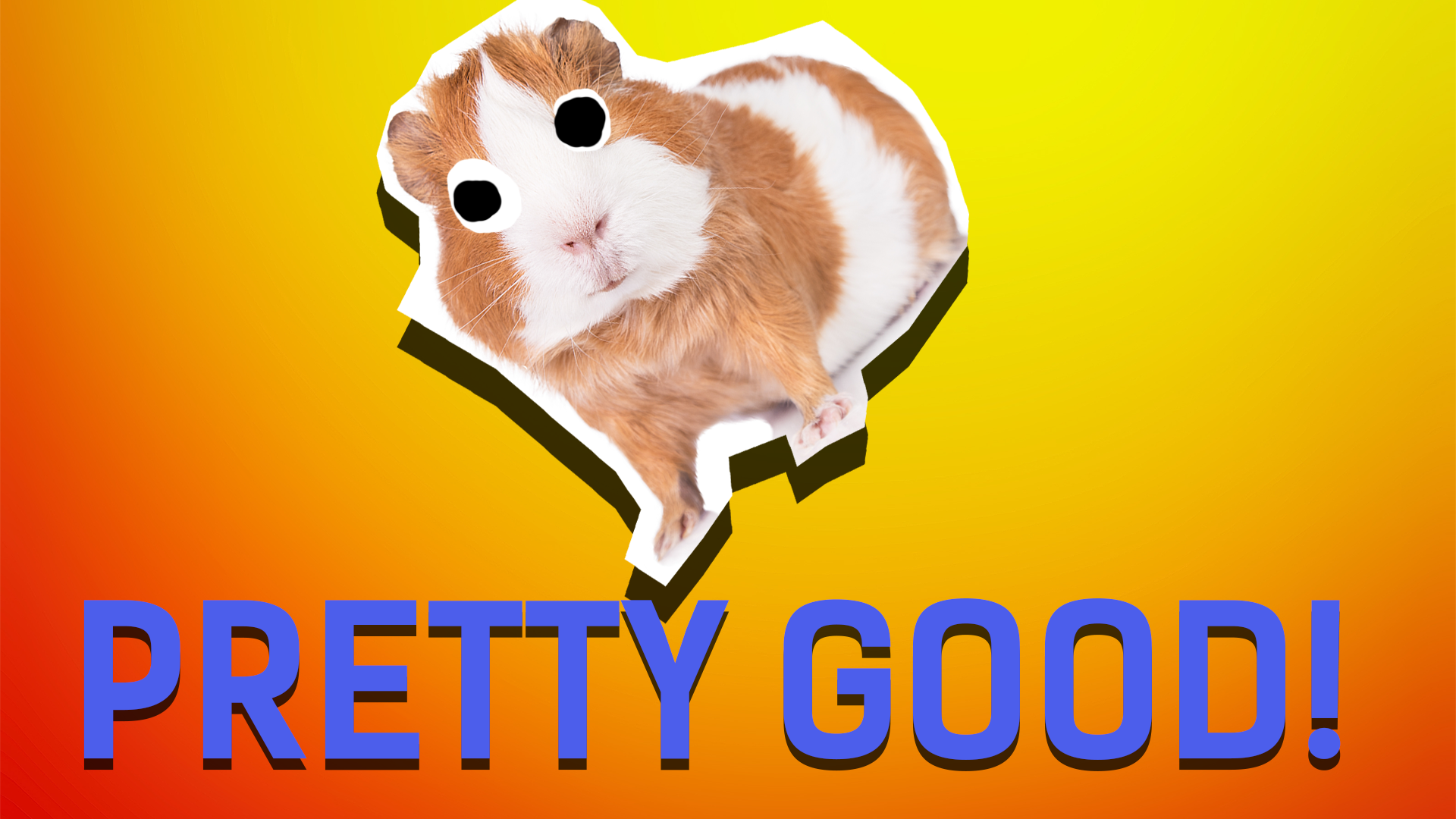 Guinea Pig on an orange background with the words pretty good