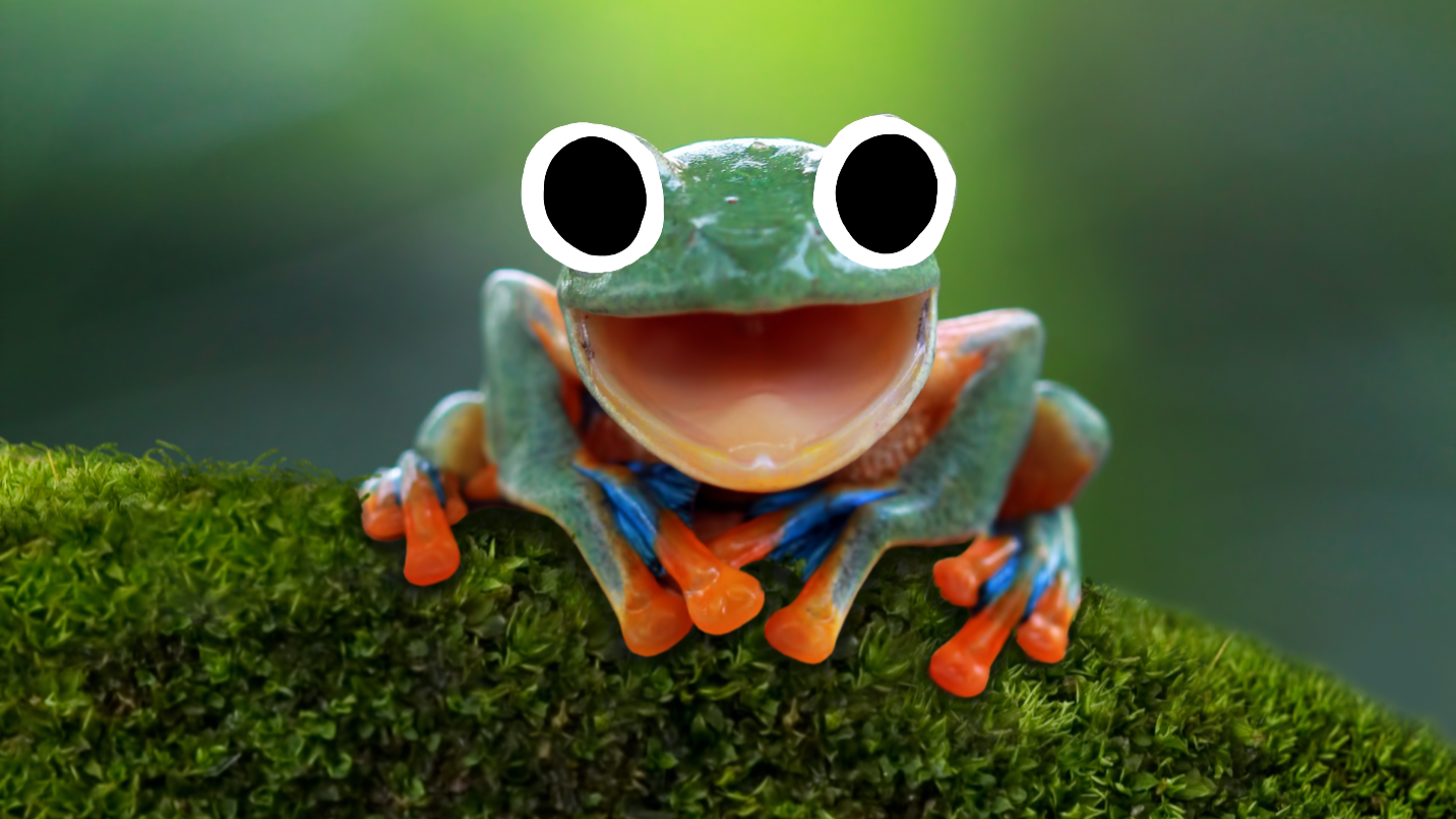 A happy frog