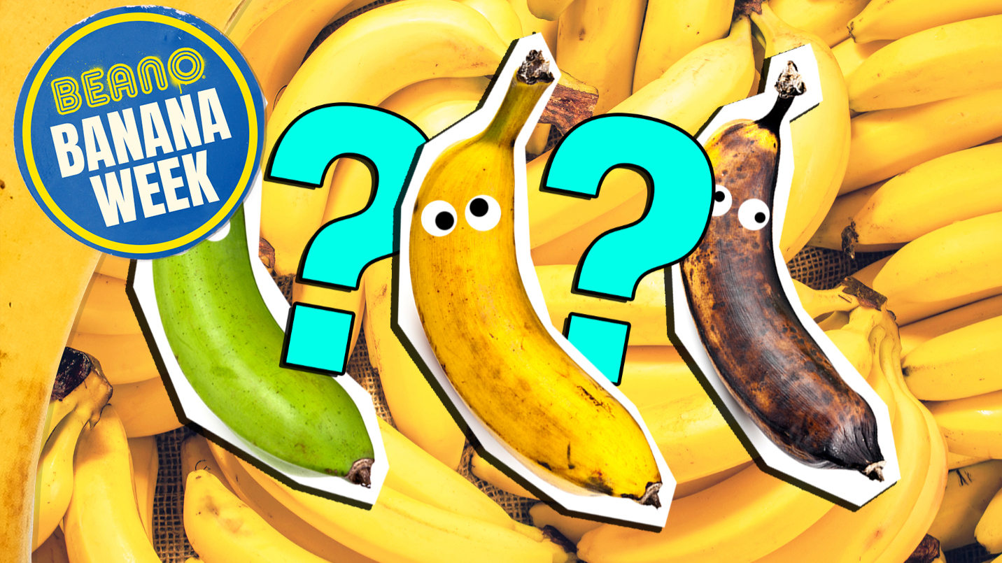 What Type Of Banana Are You?