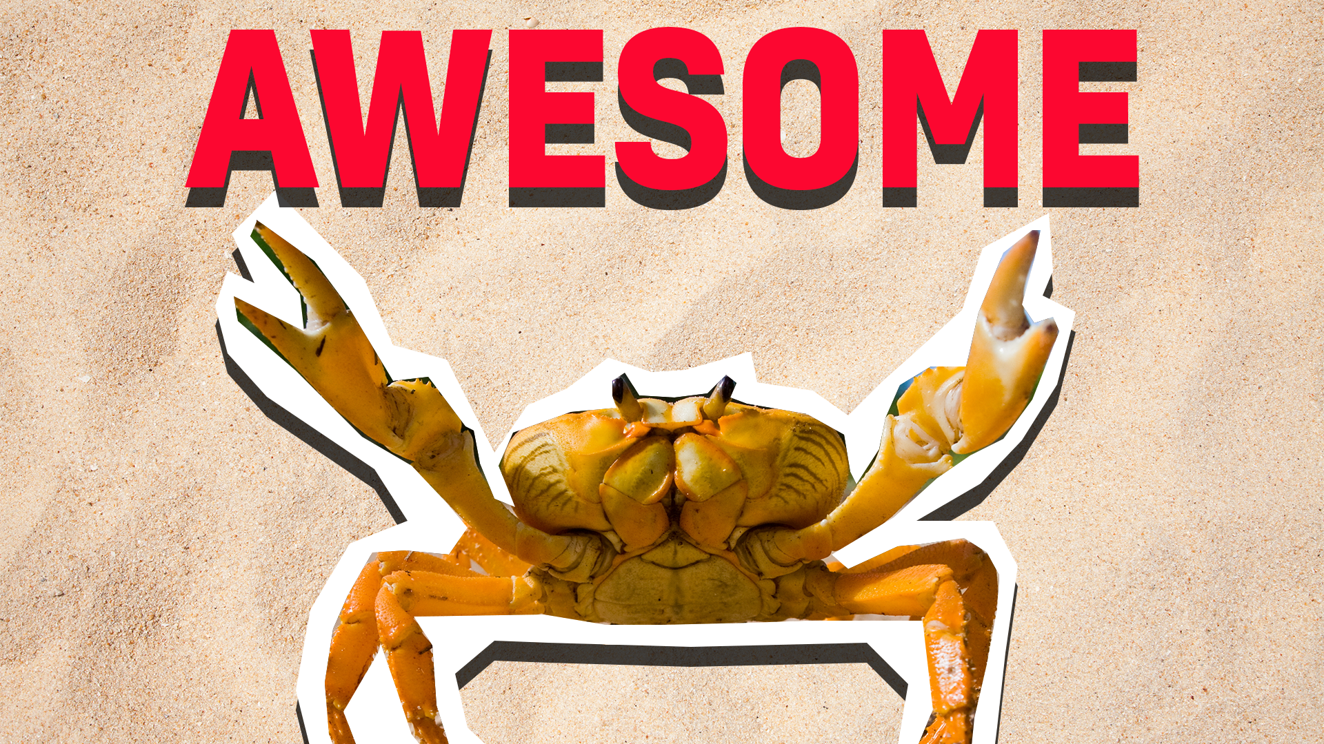 Crab and the word 'awesome'