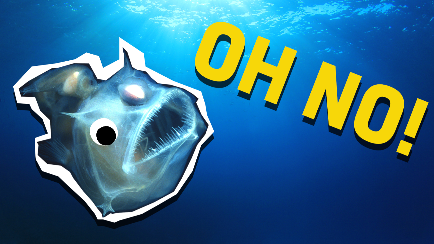 Angler fish and the words 'oh no'